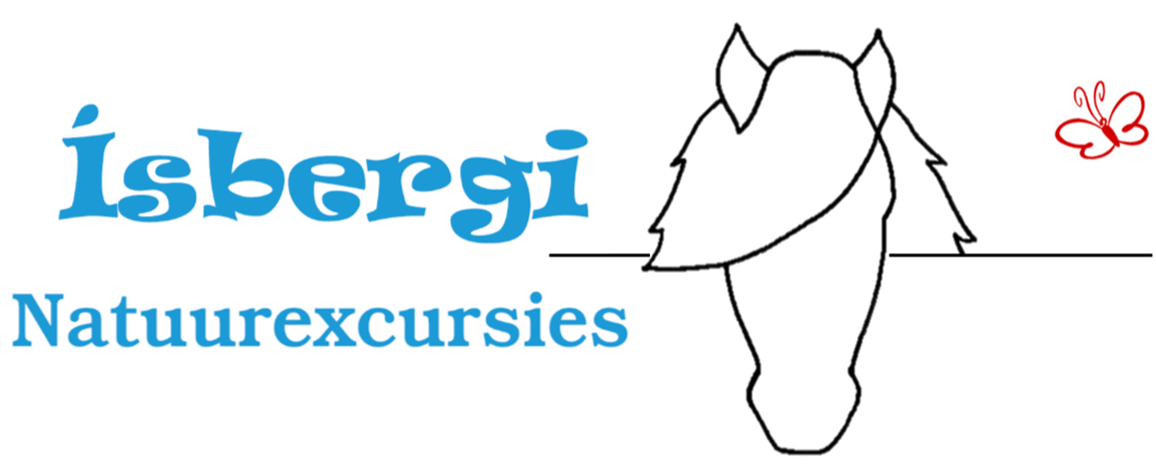 Ísbergi Logo